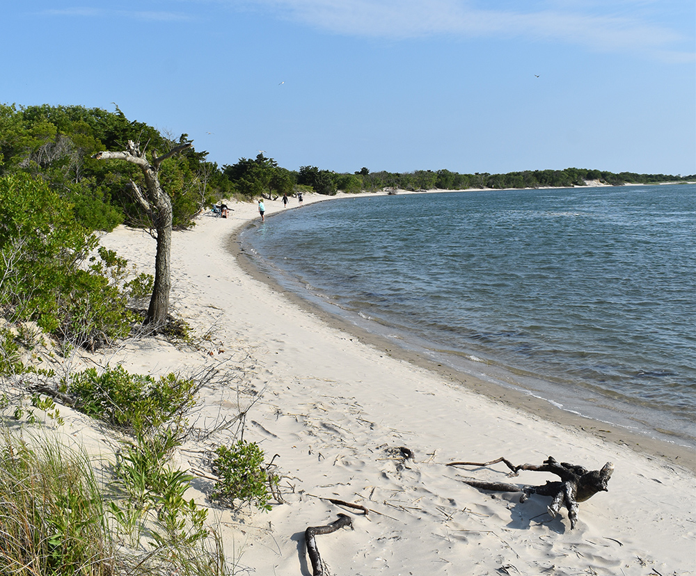 Escape To The Shore: Corson’s Inlet State Park, New Jersey’s Hidden Gem