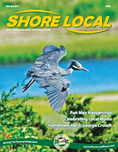 Localshore  31 M Web cover