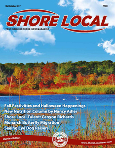 Localshore  45 Kv Mainland Web cover