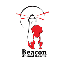 Beacon Animal Rescue