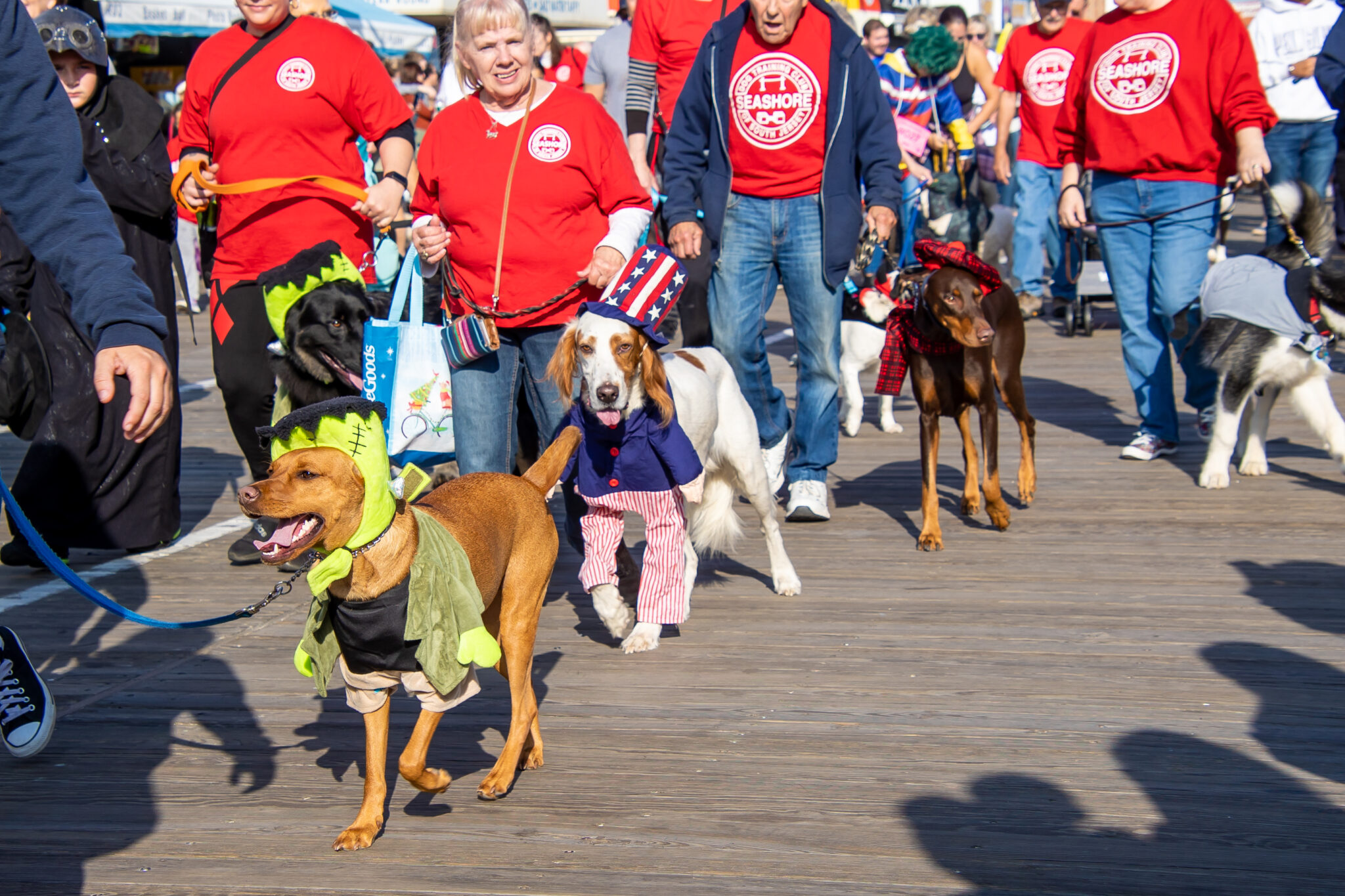 Howl O Ween Parade And Dog Day In Ocean City   Shore Local Newsmagazine