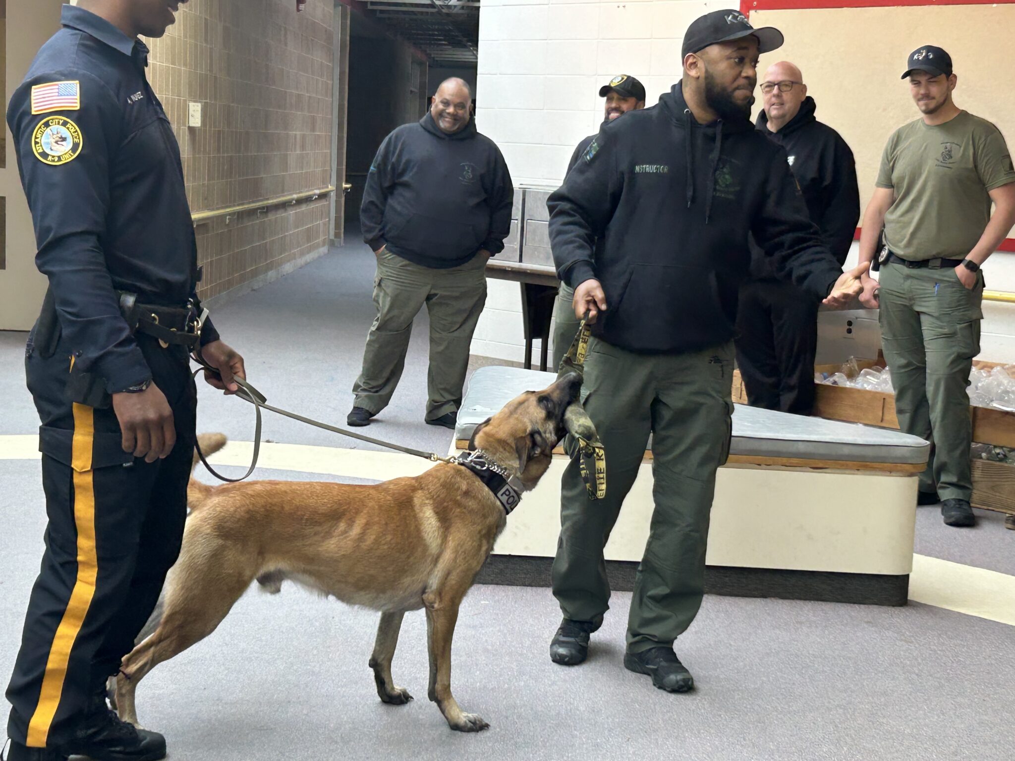 Philadelphia Eagles star Fletcher Cox donates police dog to