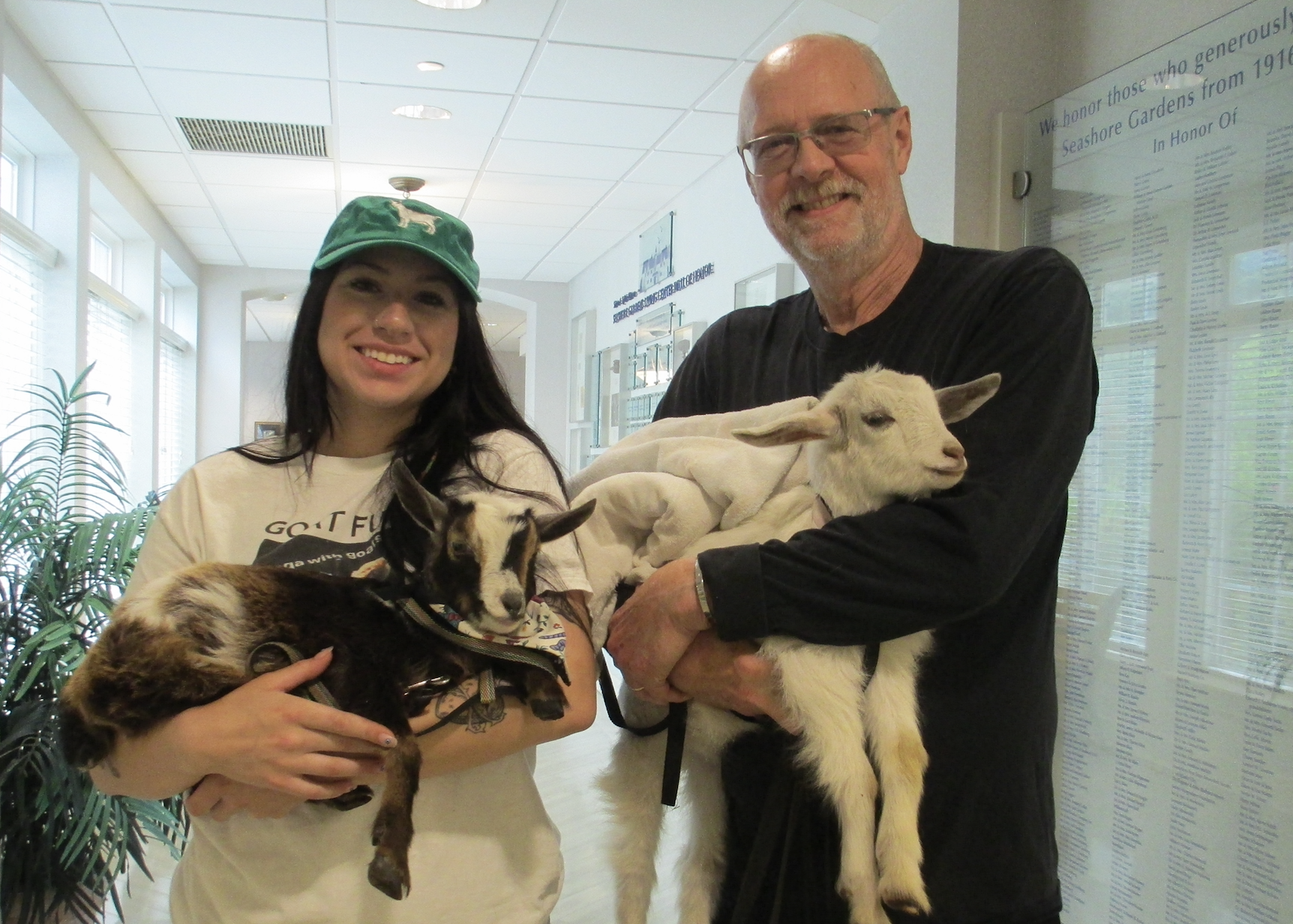 Baby goats visit Seashore Gardens 