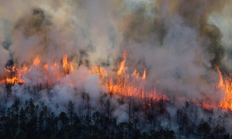 Atlantic County Public Health Officials Offer Wildfire Smoke Precautions