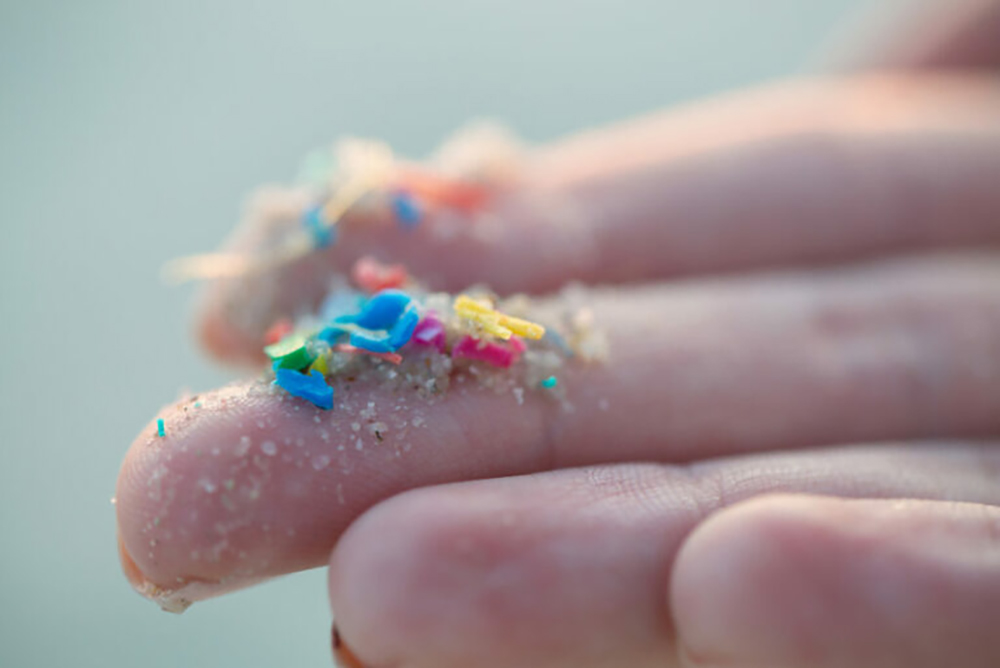 Experts tell lawmakers about harmful effects of microplastics