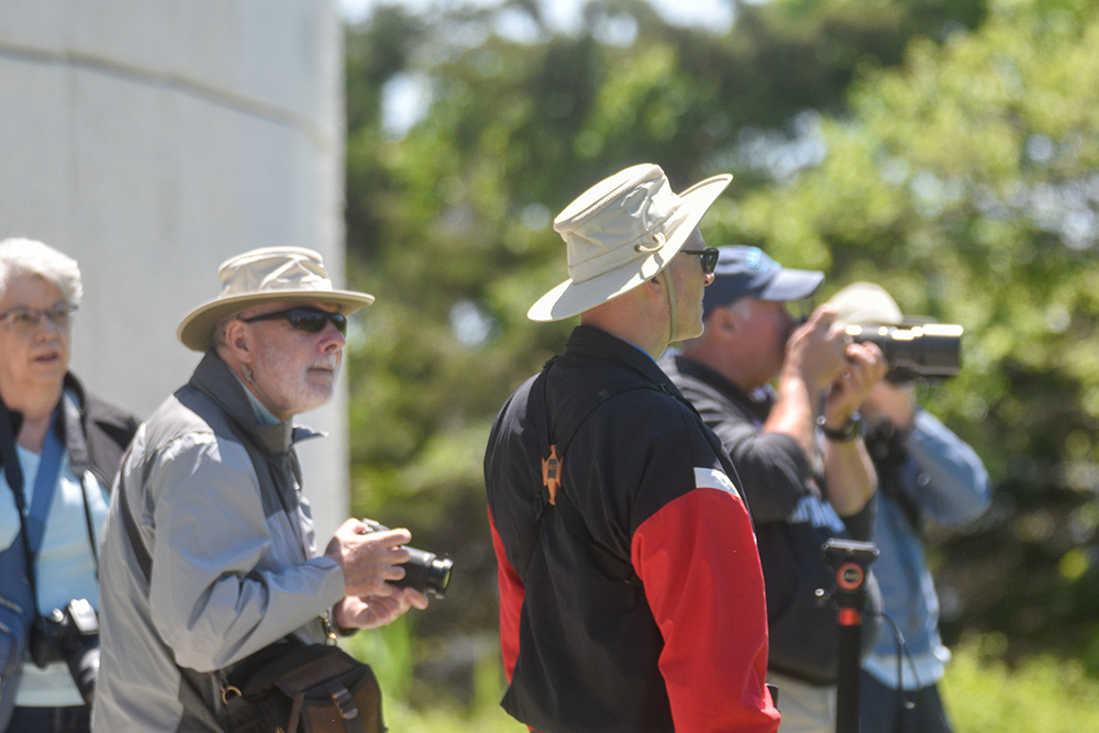 Nature comes alive at Ocean City Rookery