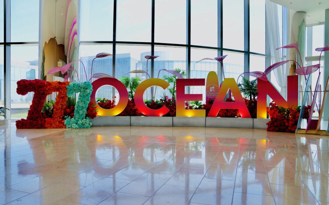 Ocean goes big for seventh anniversary celebration