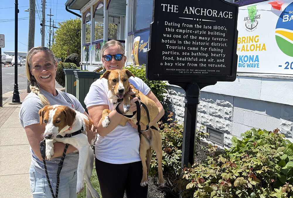 Paws and Pours: The Anchorage invites you (and your pup) to give back June 8