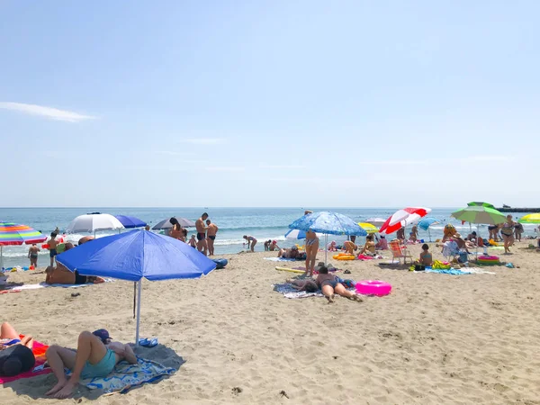 The 2025 Jersey Shore Outlook