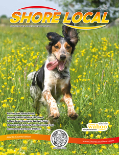 Shore Local Mainland May 1 2025 cover