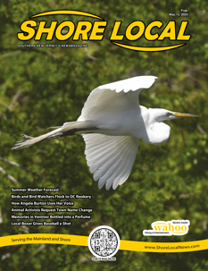 Shore Local Mainland May 15 2025 cover