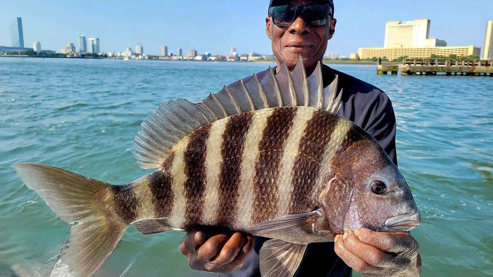 Jersey Shore fishing heats up
