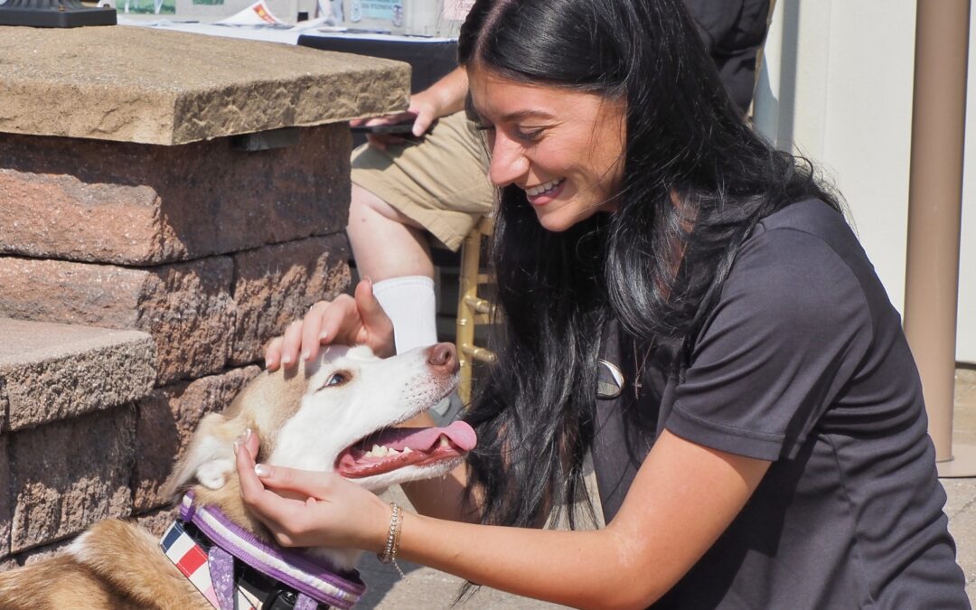 Summer Lovin’ Free Adoptions at Atlantic County Animal Shelter