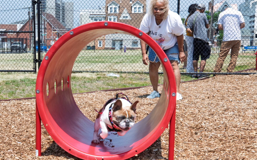 City of Atlantic City Opens New Park for Dogs, Owners to Enjoy the Outdoors
