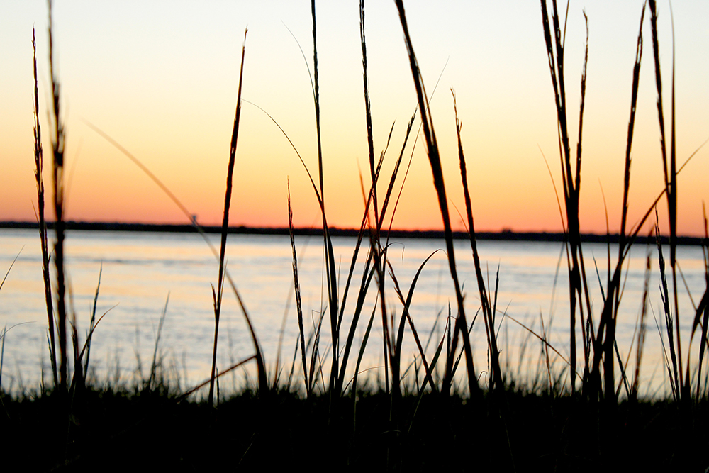 Discover seaside nature at Corson’s Inlet State Park
