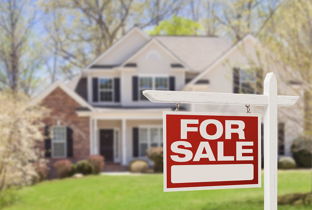 Selling and buying in the summer season