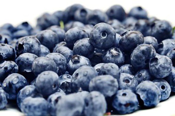 Blueberry season peaks as South Jersey celebrates its signature crop