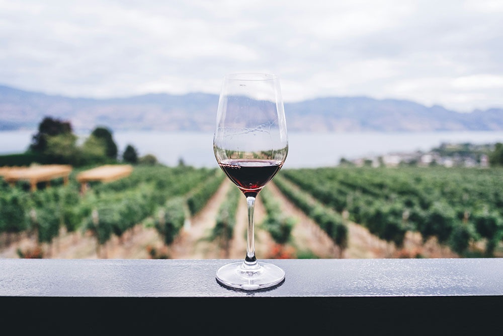 Try these red wines for summer