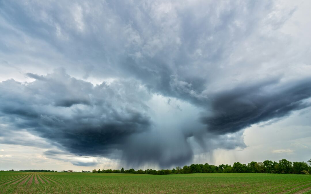 The Founding Fathers of Meteorology
