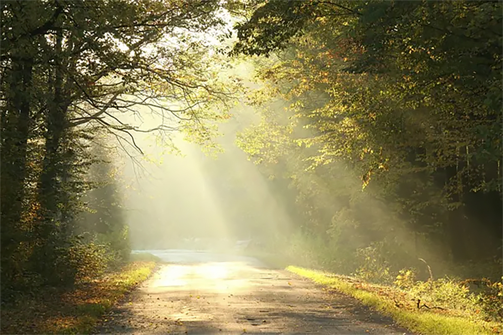 Preparing a road map for your loved ones
