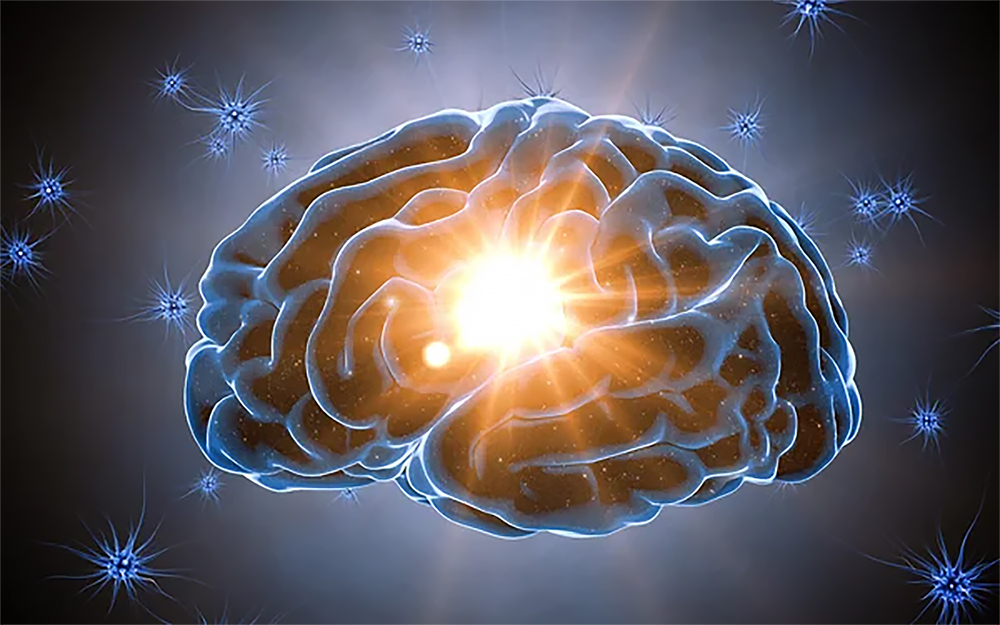 Give your brain some summer lovin’