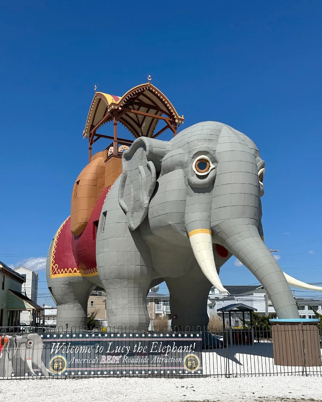 Hauʻoli lā hānau! Lucy the Elephant to celebrate 144th birthday