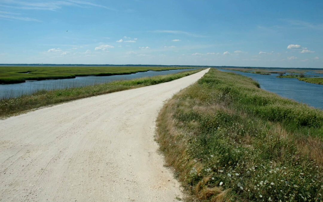 A sanctuary by the shore: A brief history of the Edwin B. Forsythe National Wildlife Refuge