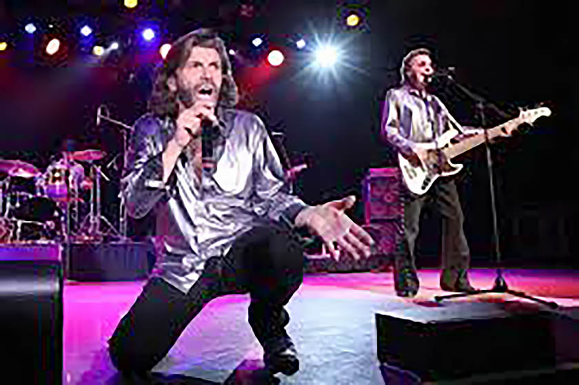 Schultz-Hill Foundation hosts The Disco Ball benefit concert