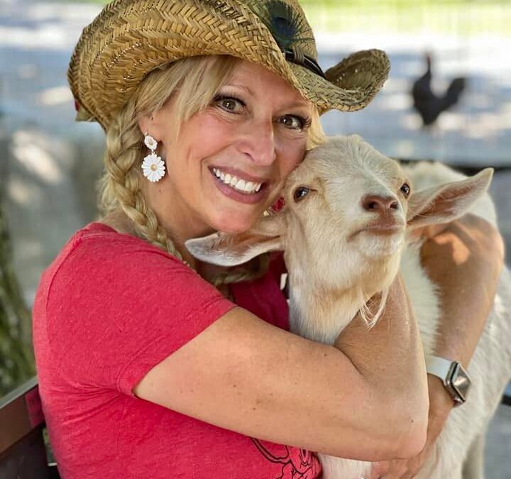 Where kindness roams free: A day at the Funny Farm Rescue