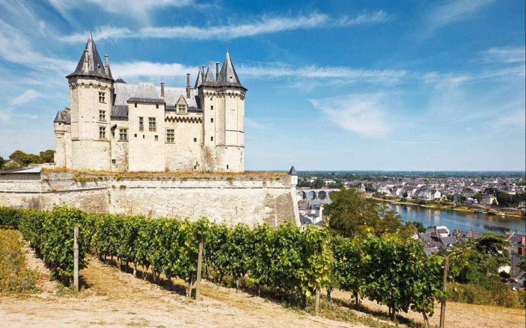 Summer French wine from the Loire Valley