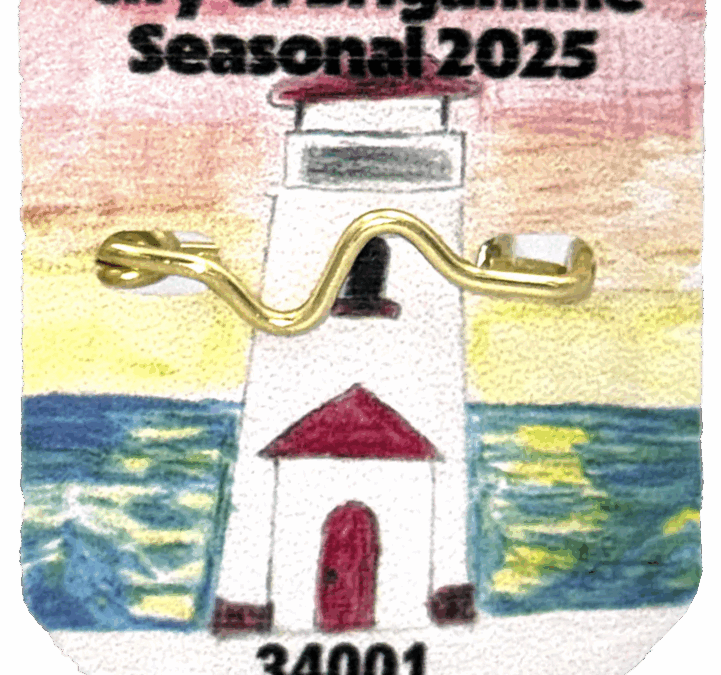 Brigantine, Ventnor push back against proposed beach tag ban