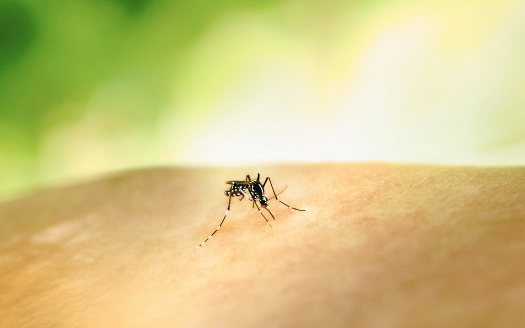 Two Additional Mosquito Pool Samples Test Positive for West Nile Virus