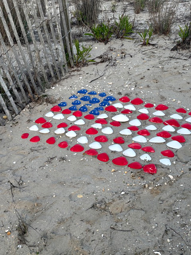 Ventnor Pier’s shell whisperer - Shore Local Newsmagazine