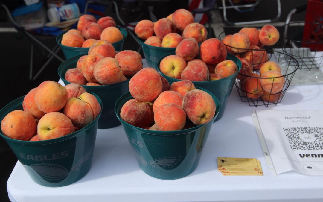 Farmers Markets