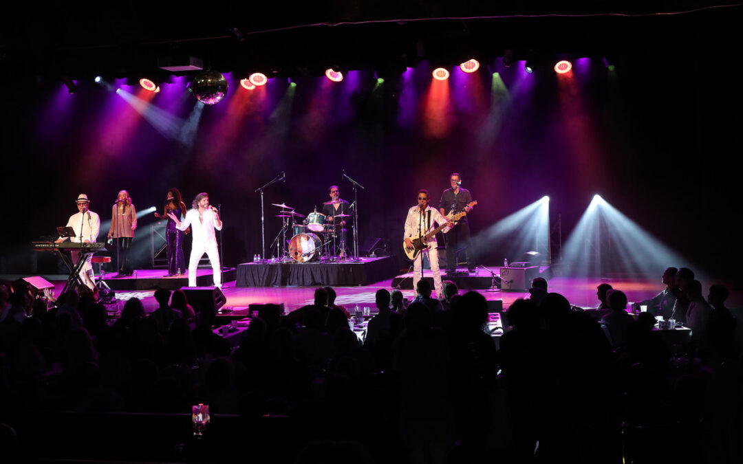Disco Ball raises $100,000 for the arts