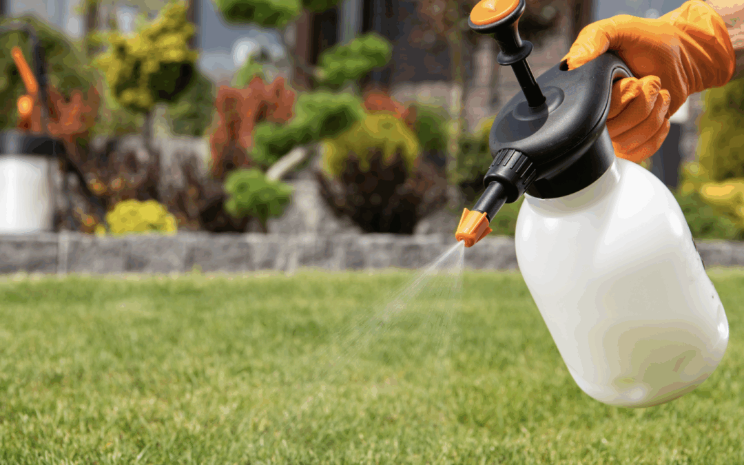 Mosquito Ground Spray Scheduled for August 28 in Pleasantville