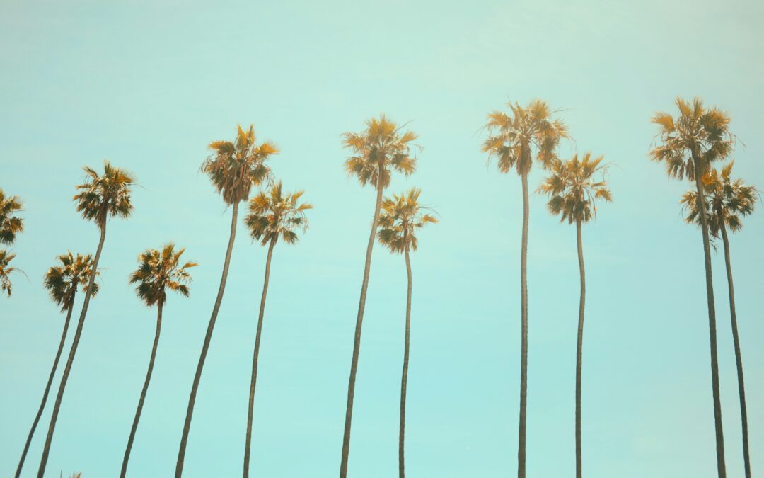 California dreaming? I’ll always be a Jersey girl
