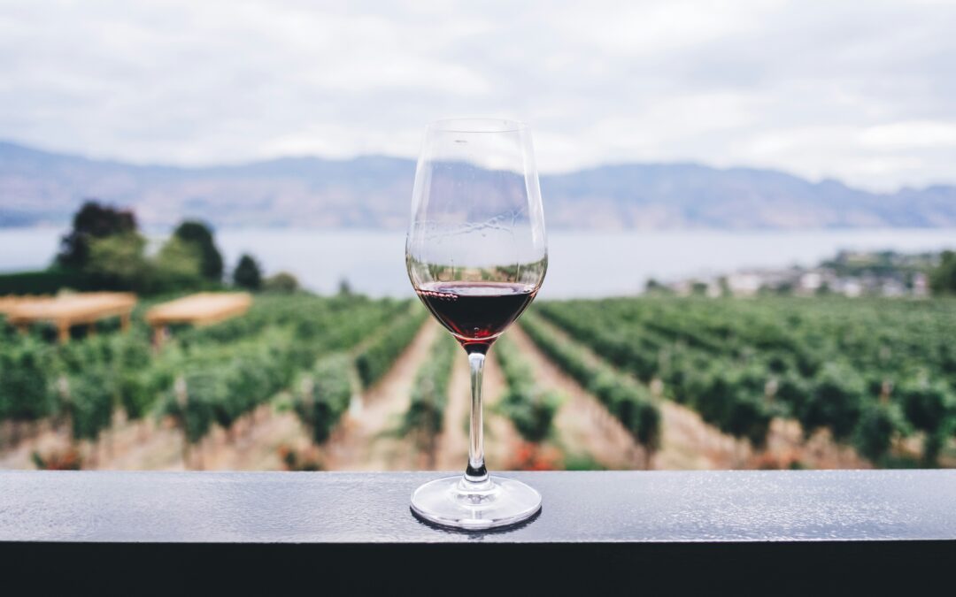 Wine: It’s Greek to me!