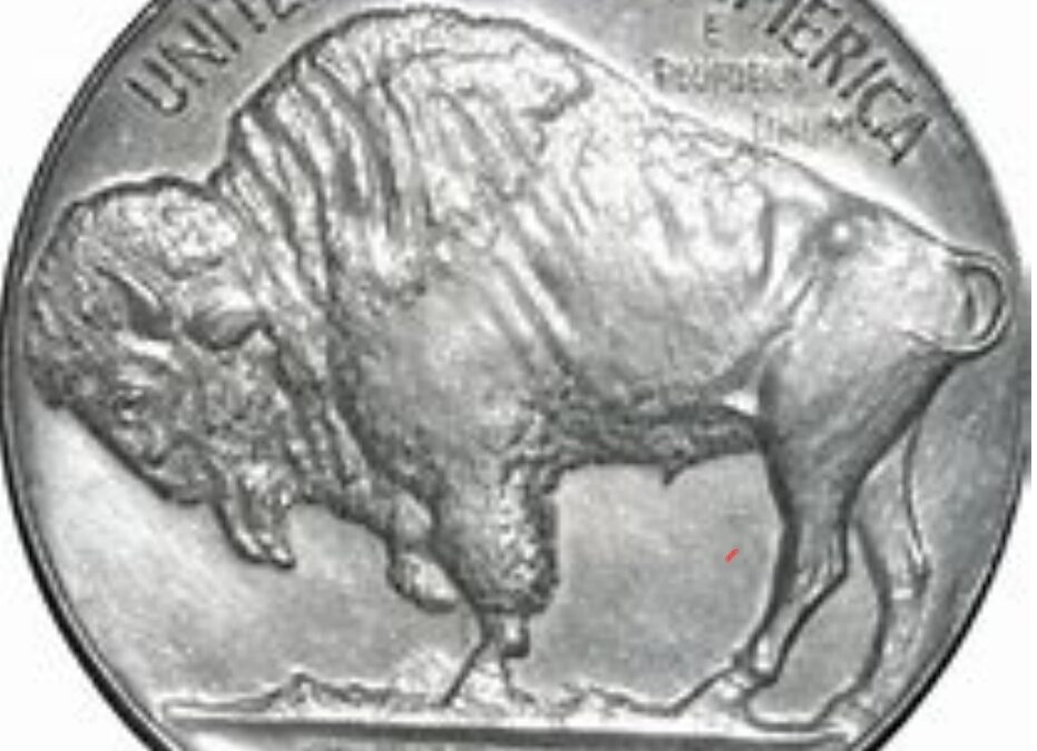 The Buffalo Nickel