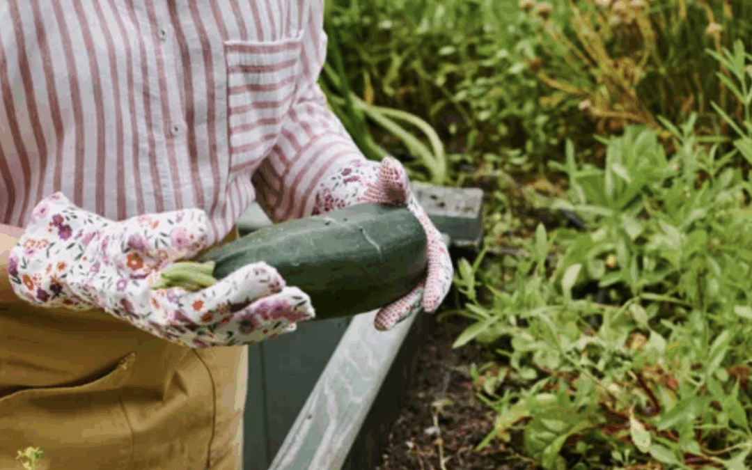 The long, nostalgic road back to zucchini fritters