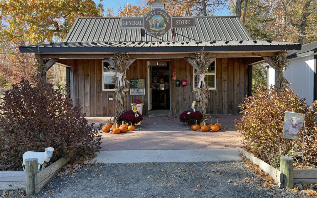 Misty Meadow becomes Salt and Clover, adds kids activities and events