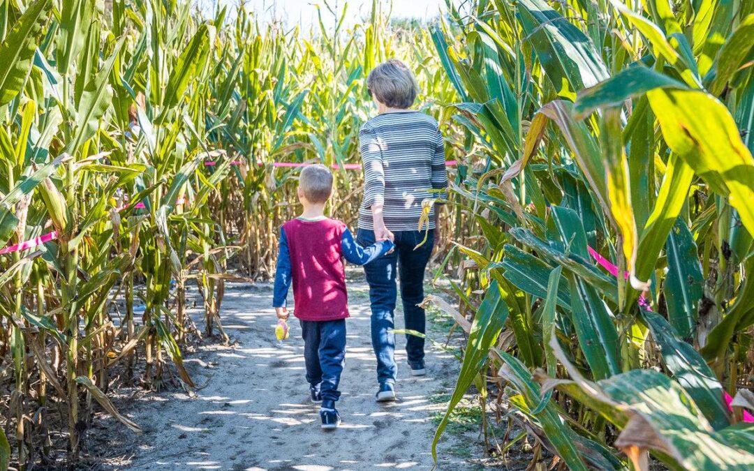 Fall fun and frights: Local farms and attractions to visit this October