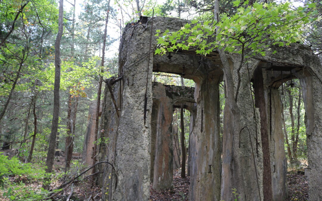 Exploring the history of Estell Manor Park