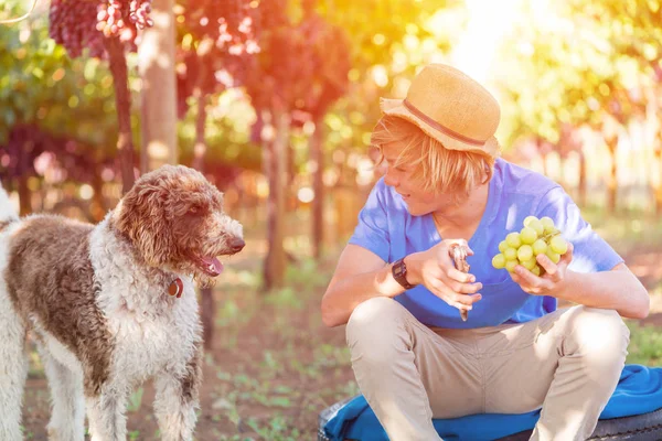 The risks of giving dogs access to raisins and grapes