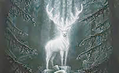 Local lore of ghosts and creatures