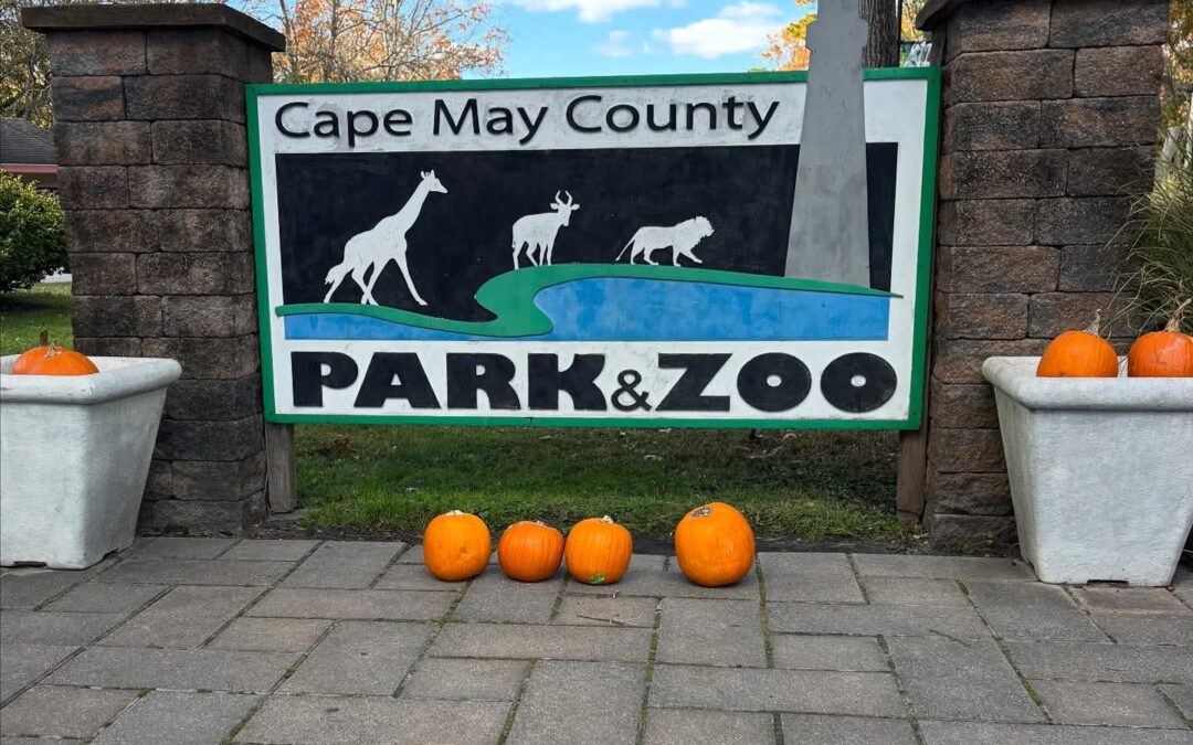 Family-friendly fun awaits at the Cape May County Park & Zoo