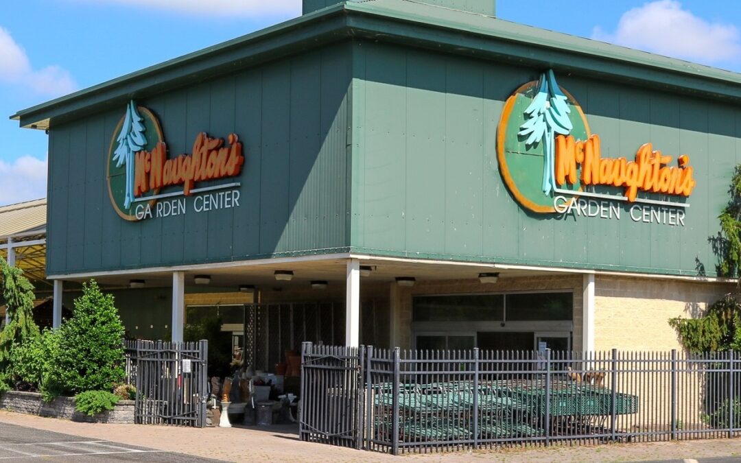 Jersey Shore business alive and well going into 2026