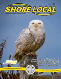 January 15, 2026 cover