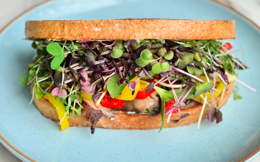 Gardening Neighbor gives microgreens presentation hosted by Green Thumb Garden Club