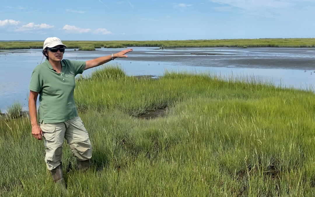 Caring for the coastline that connects us